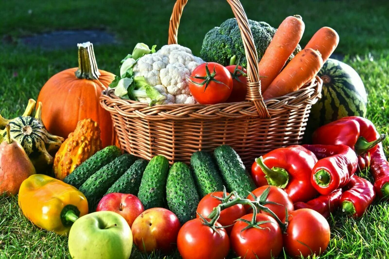 Ғөшөр саҙаҡаһы. Уны ҡасан һәм кемгә бирергә?