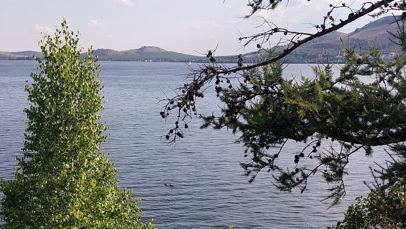 В выходные в Башкирии ожидаются заморозки до -5°