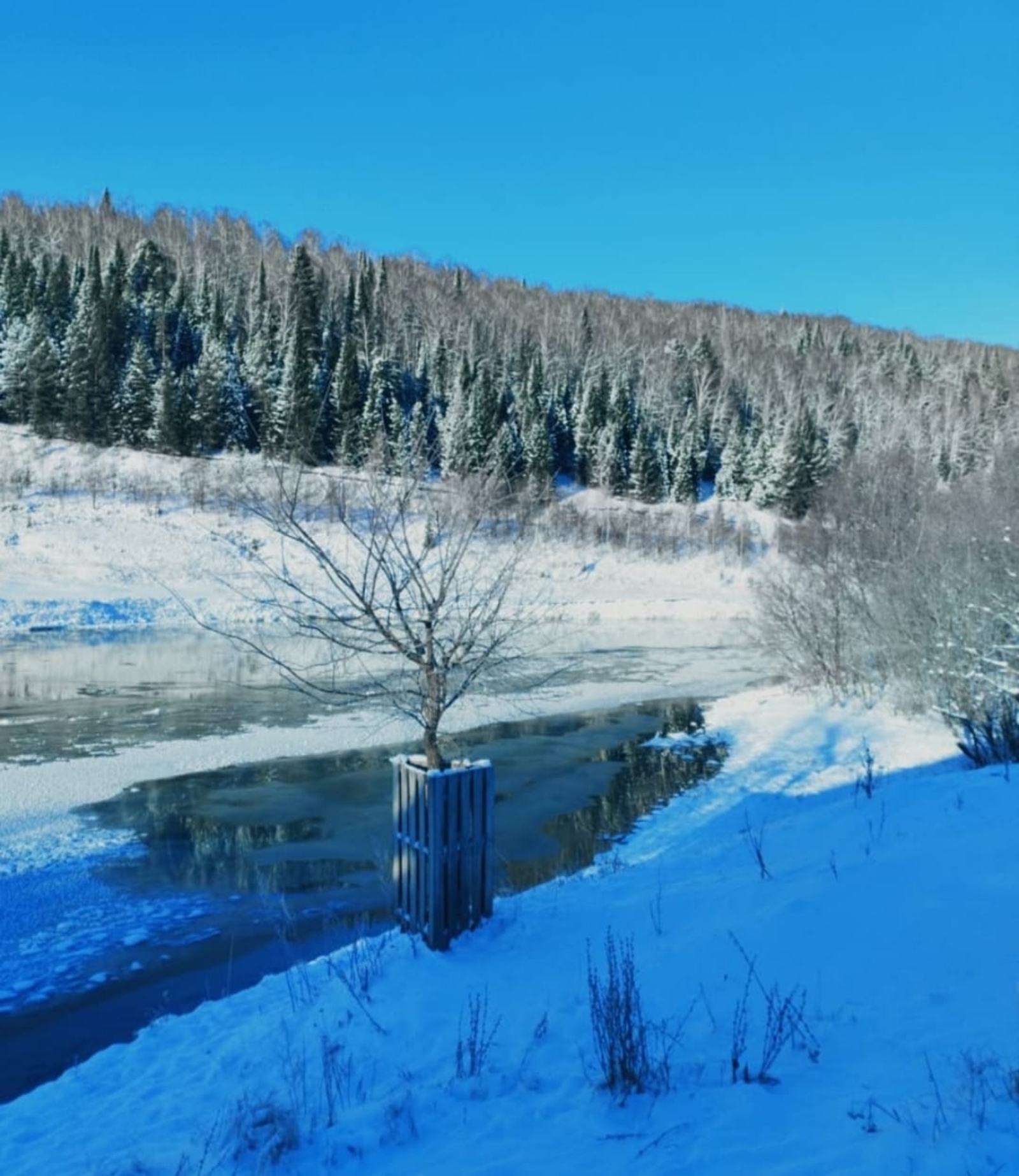 Ошо аҙна аҙағында уҡ "плюс"ҡа күтәрелә