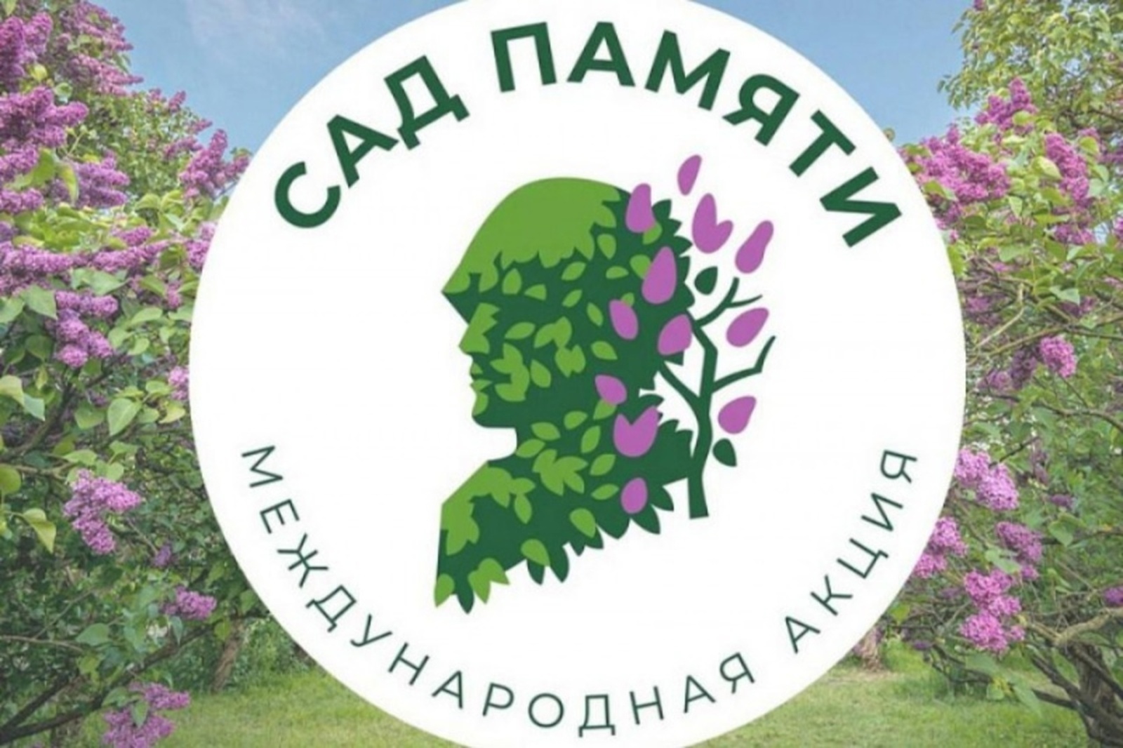 В Башкирии честь героев Отечества высадят новые деревья