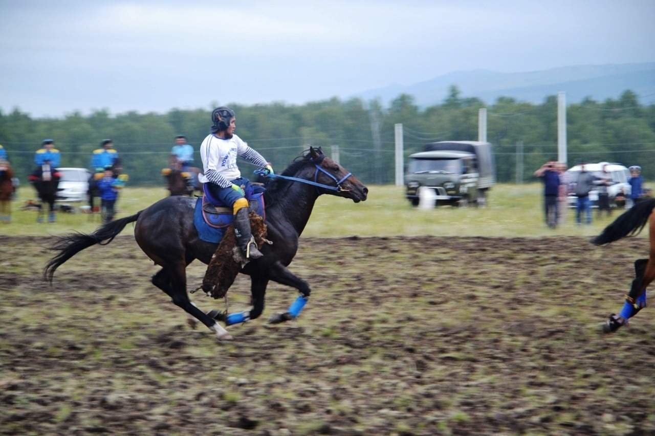 В Баймакском районе фестиваль башкирской лошади начался с игры настоящих джигитов