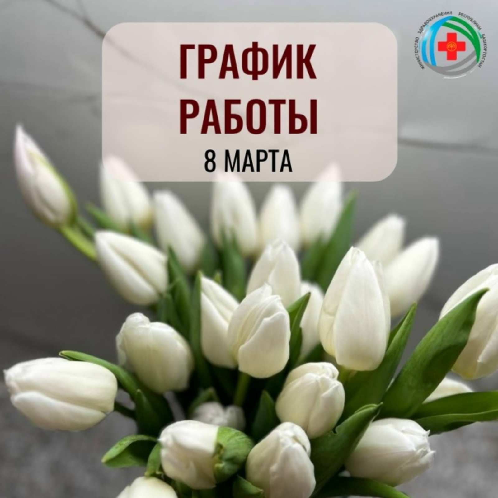 Байрам көнөндә медицина ойошмалары нисек эшләй?