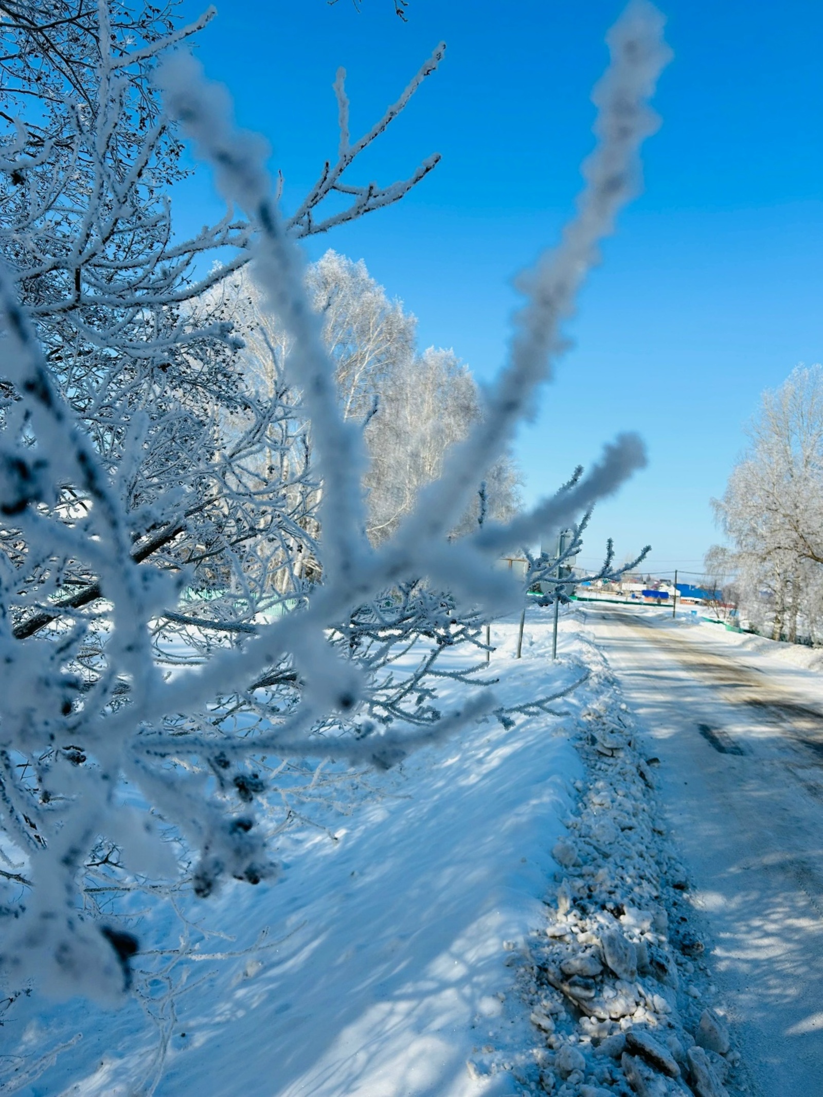 Быйыл Рәсәйҙә ҡыш ниндәй булыр?