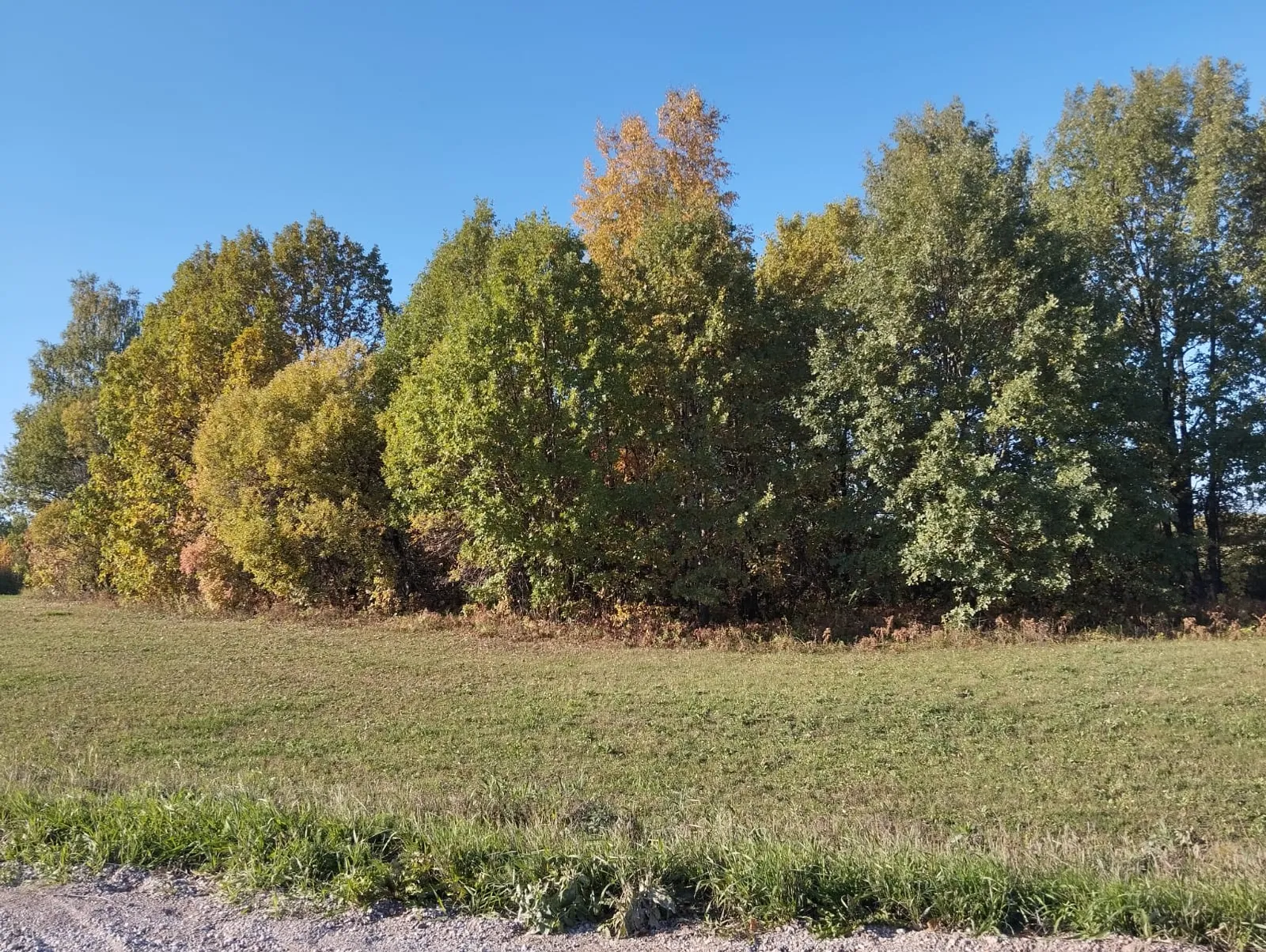 Сентябрҙә әбейҙәр сыуағы булырмы?