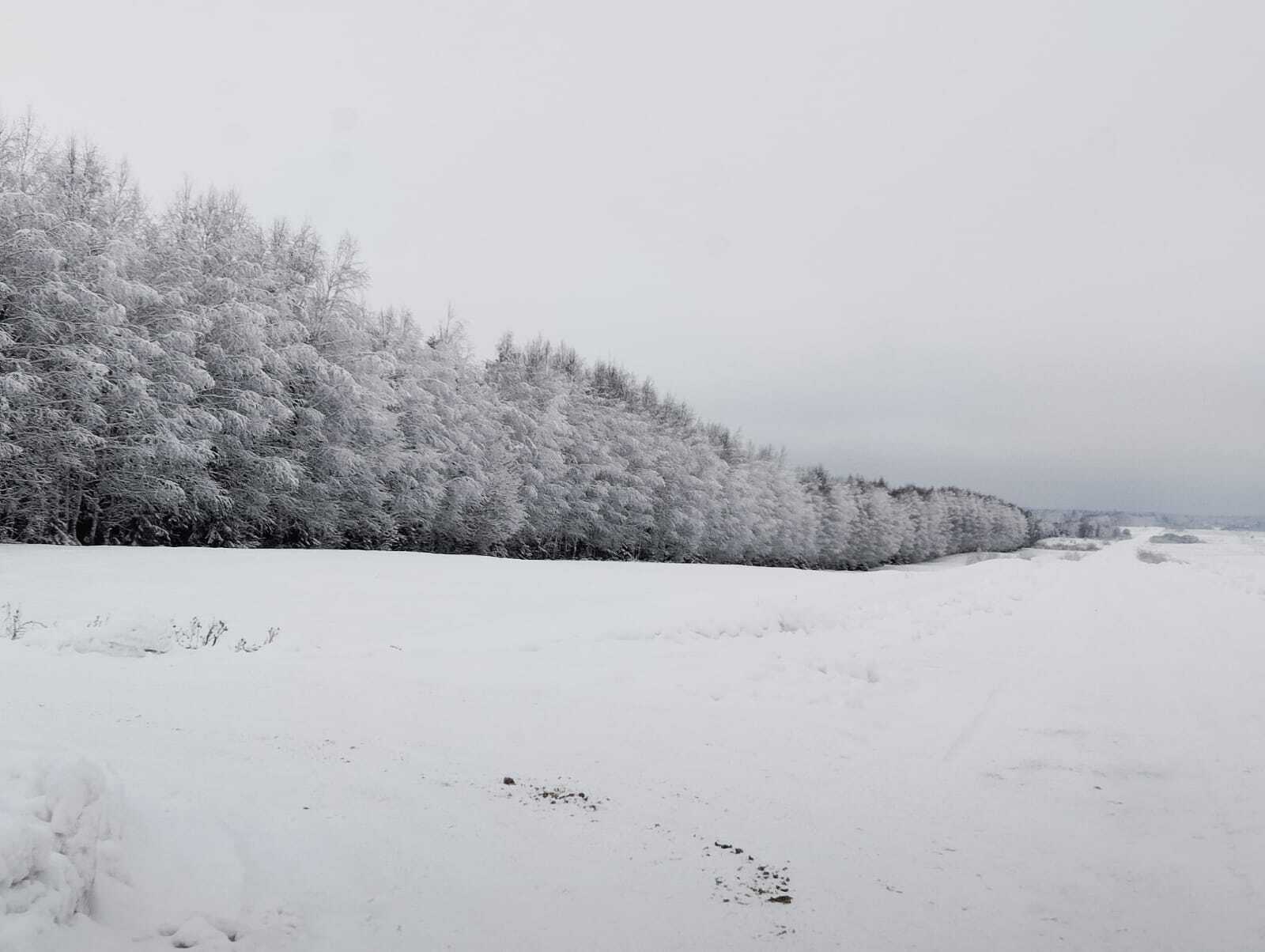 Снег, метель, ураганный ветер: МЧС по Башкирии предупреждает о ненастной погоде