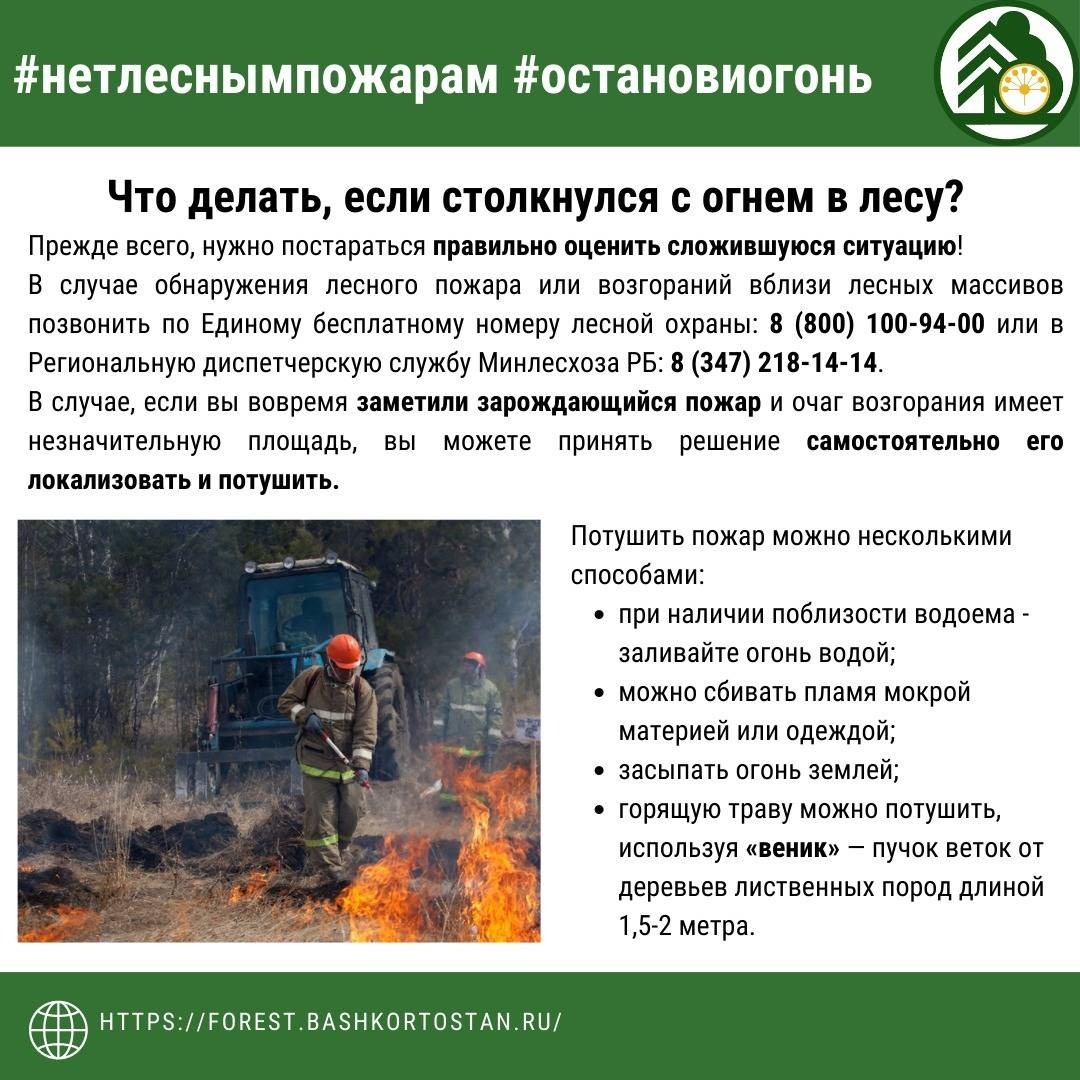 Минлесхоз Республики Башкортостан напоминает: на территории лесного фонда республики действует особый противопожарный режим!