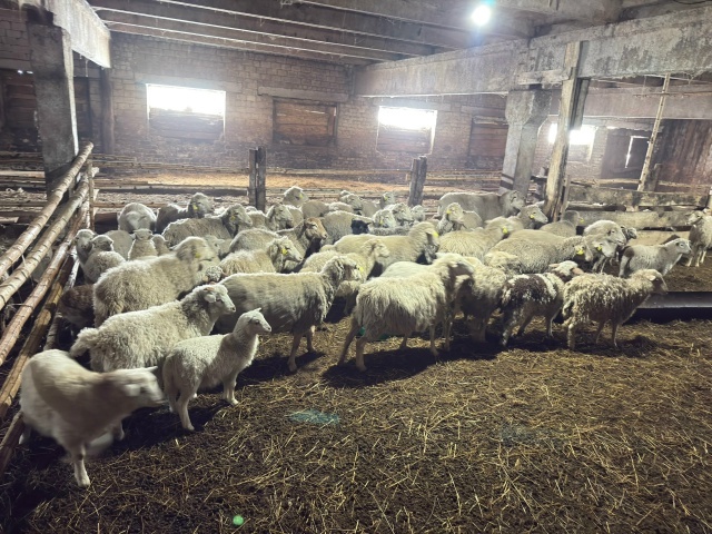 Район хакимиәте башлығының эш сәфәре