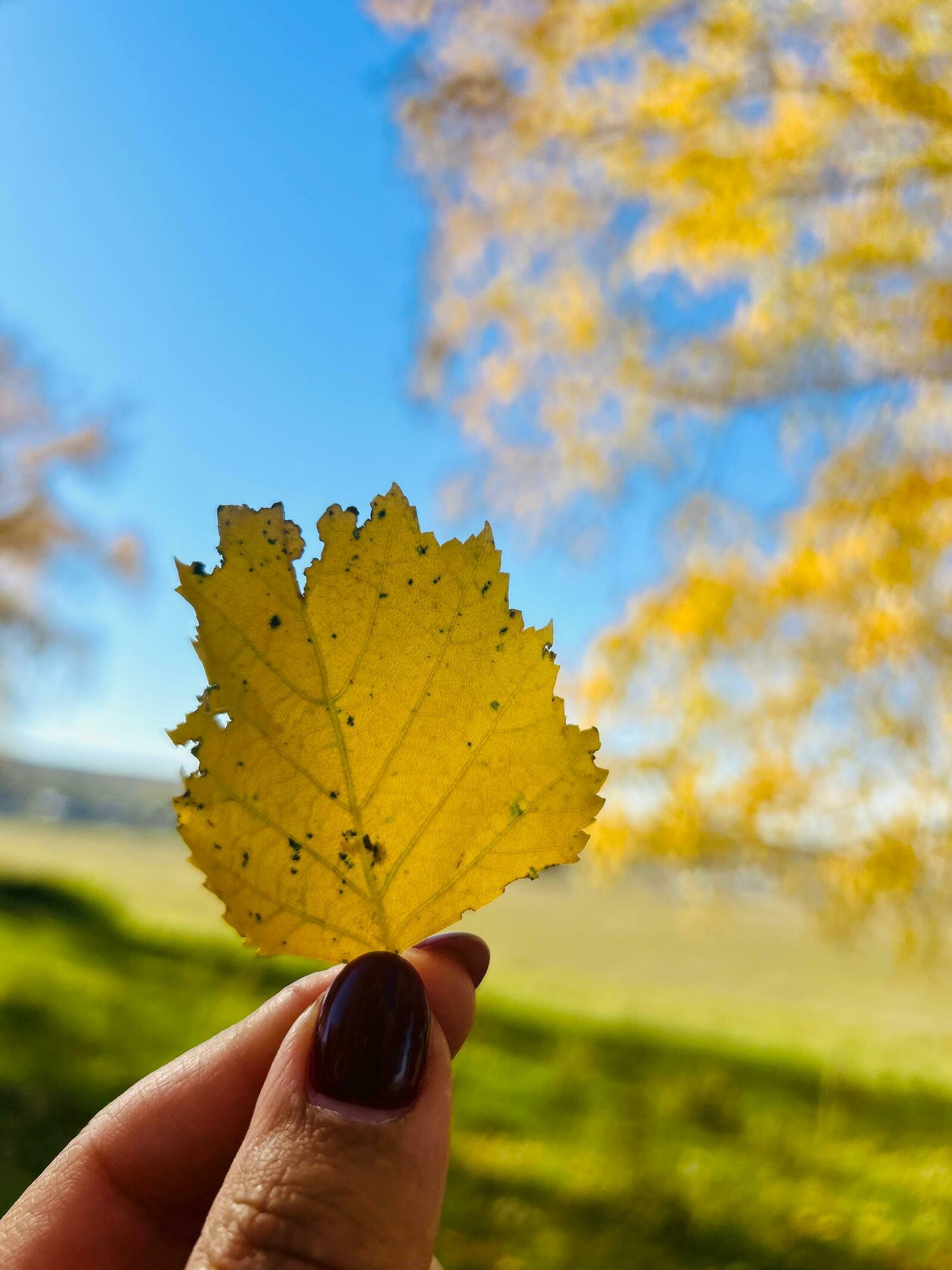 Йәй аҙағы, көҙ башы ниндәй булыр?