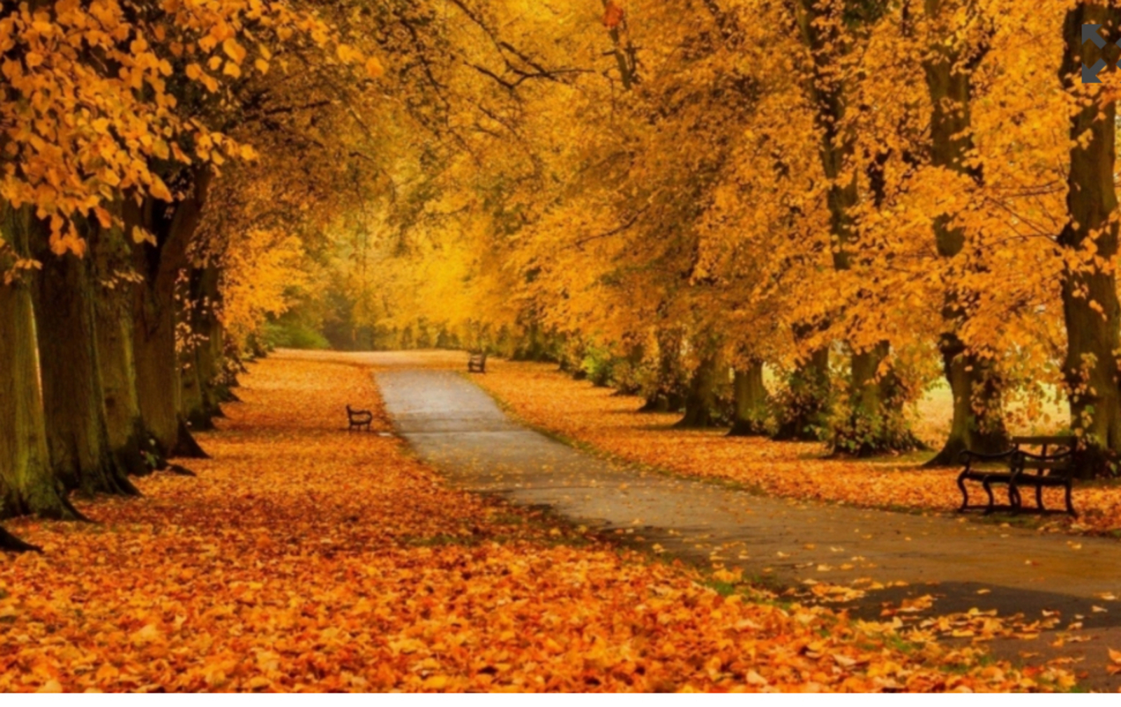 Ноябрь аномаль буласаҡ