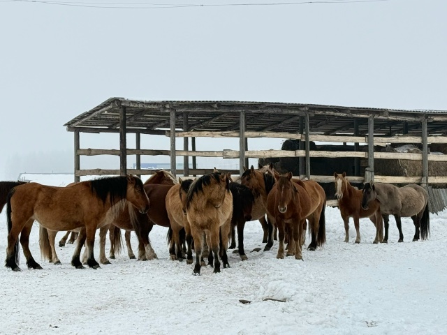 Район хакимиәте башлығының эш сәфәре