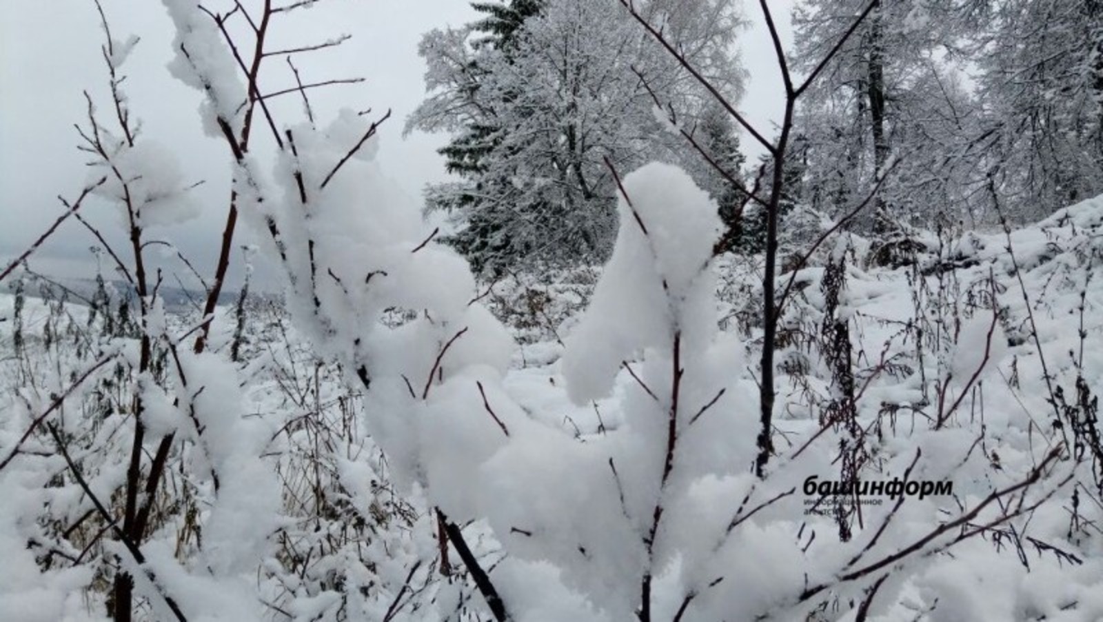 К концу недели в Башкирию придет зима, установится снежный покров