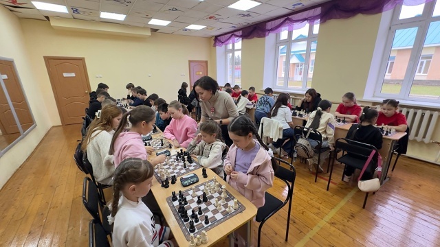 Шахматсылар ярышты