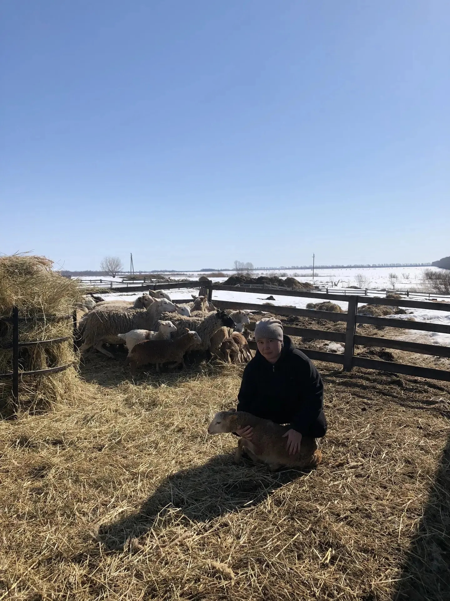 Күпләп мал аҫрайҙар