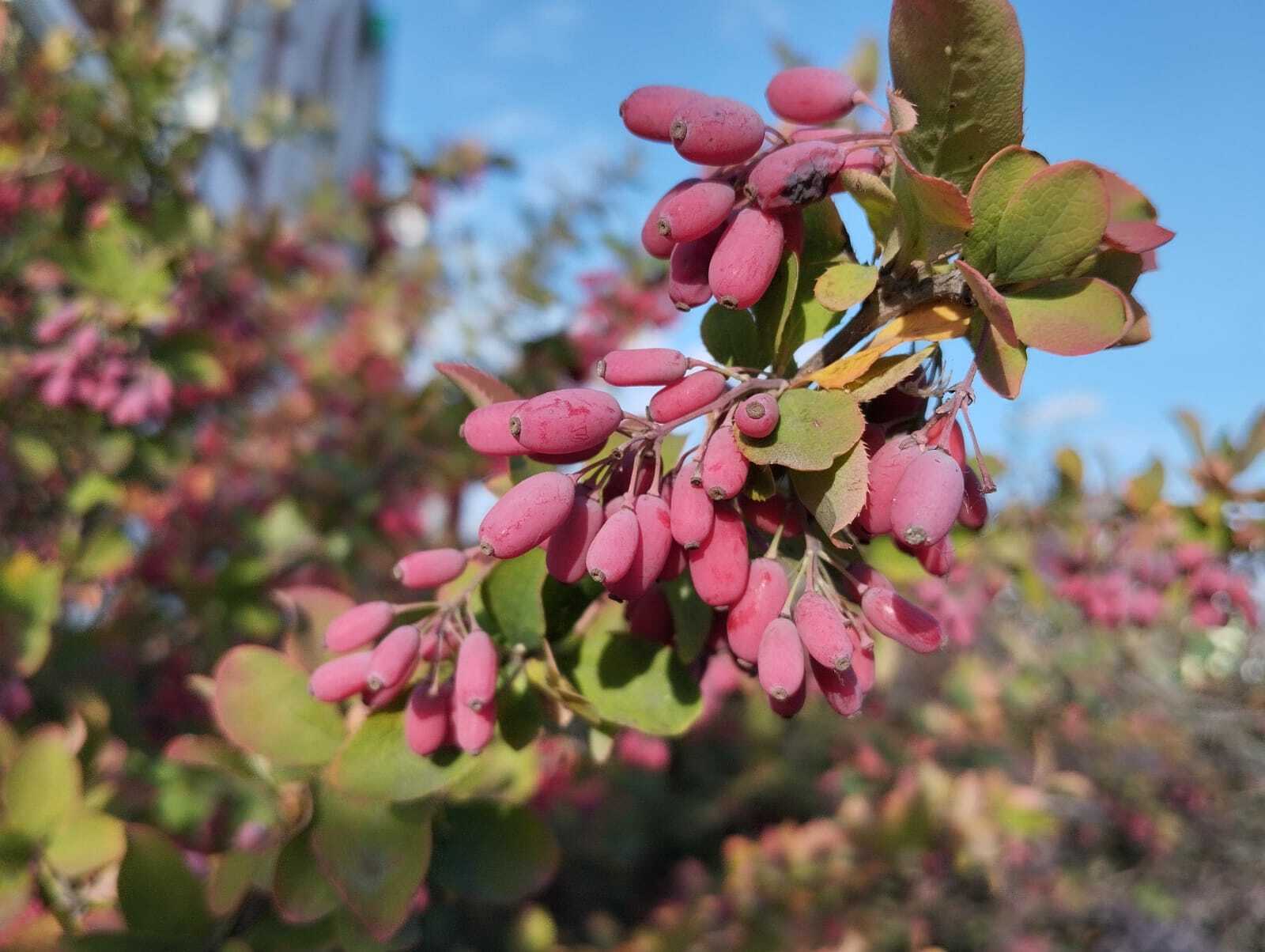 МЧС по Башкирии предупредило о тумане и грозах
