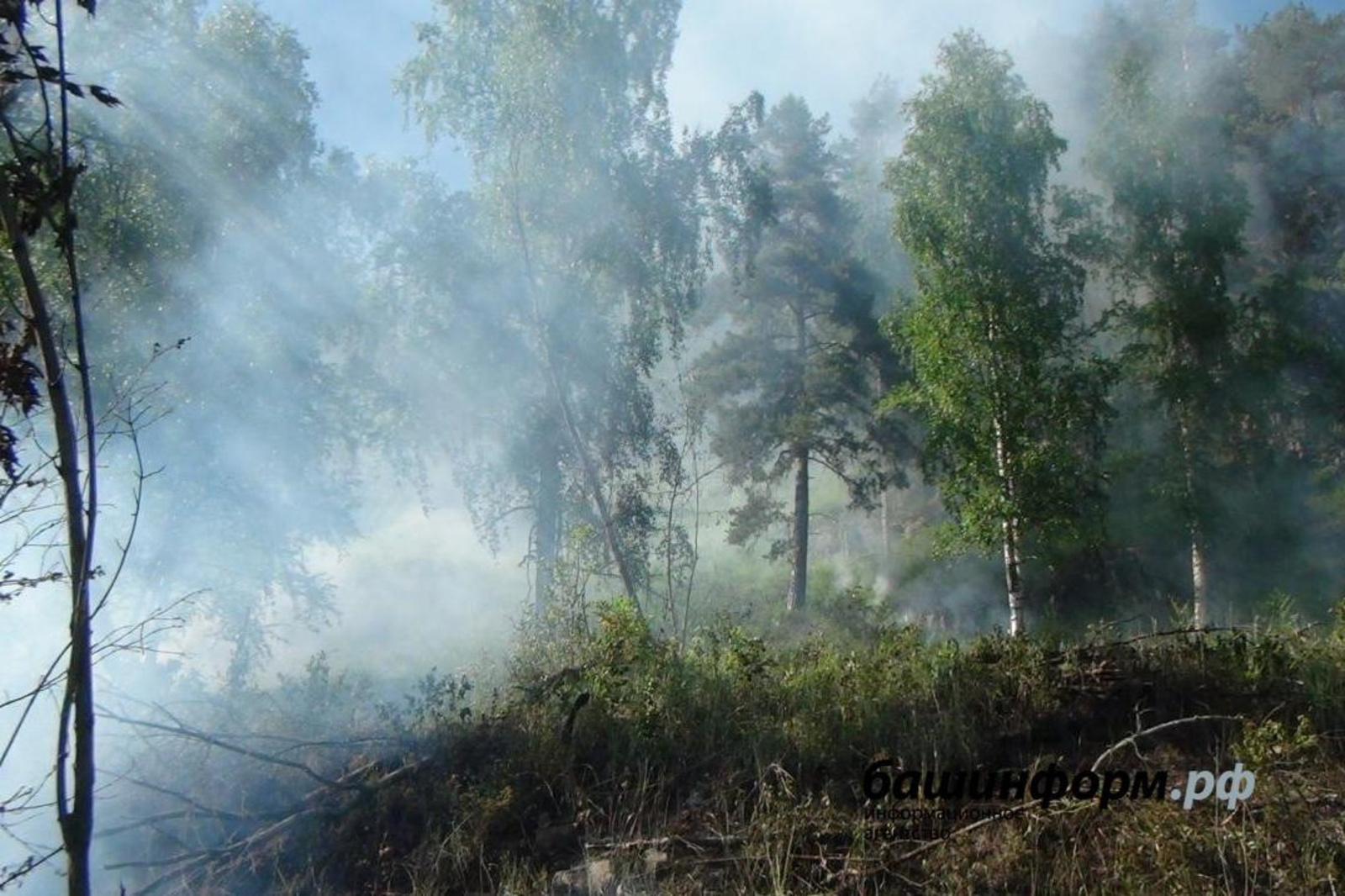 За сутки в Башкирии ликвидированы еще два лесных пожара