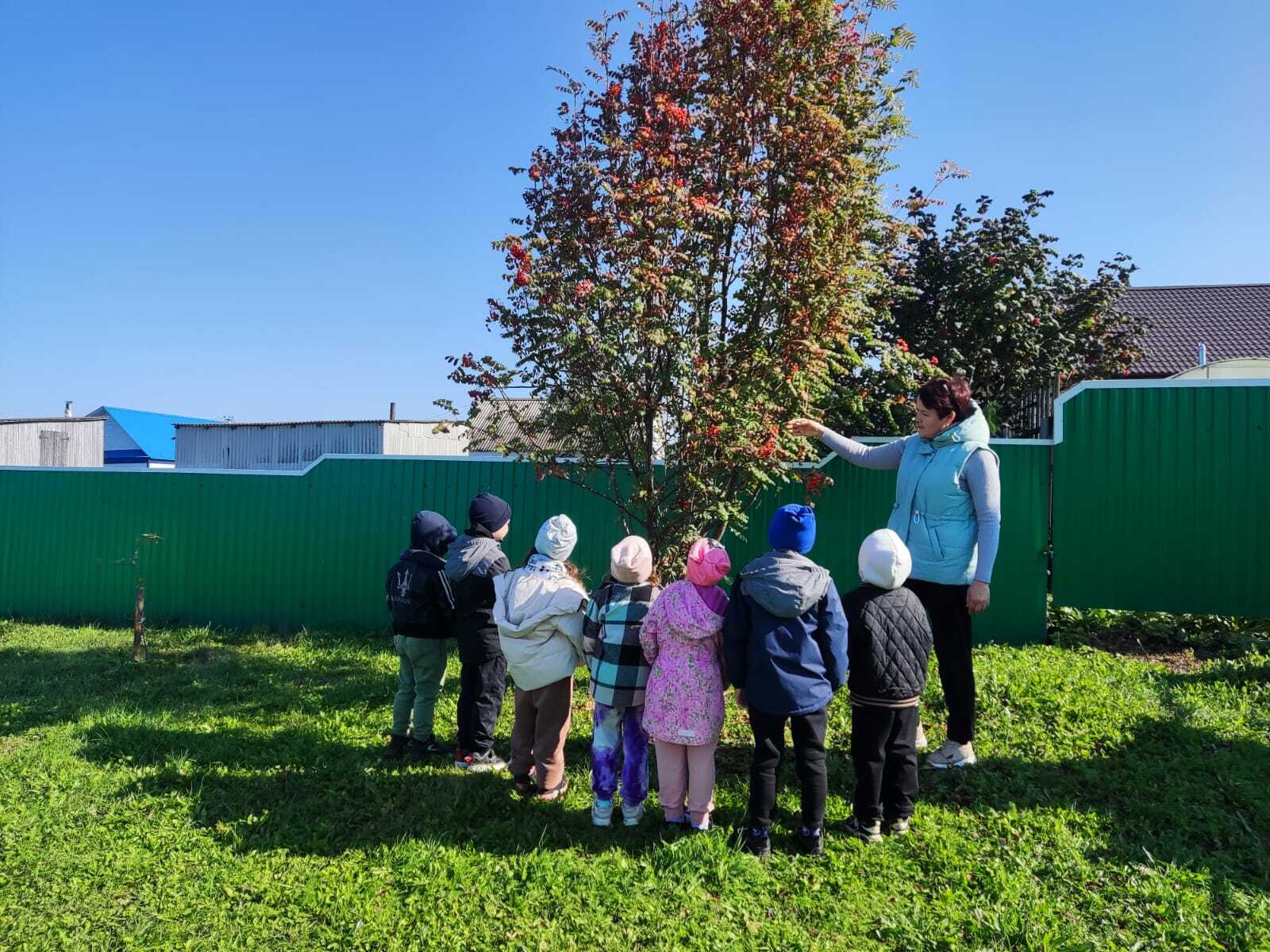 Һөнәренә ғашиҡ тәрбиәсе