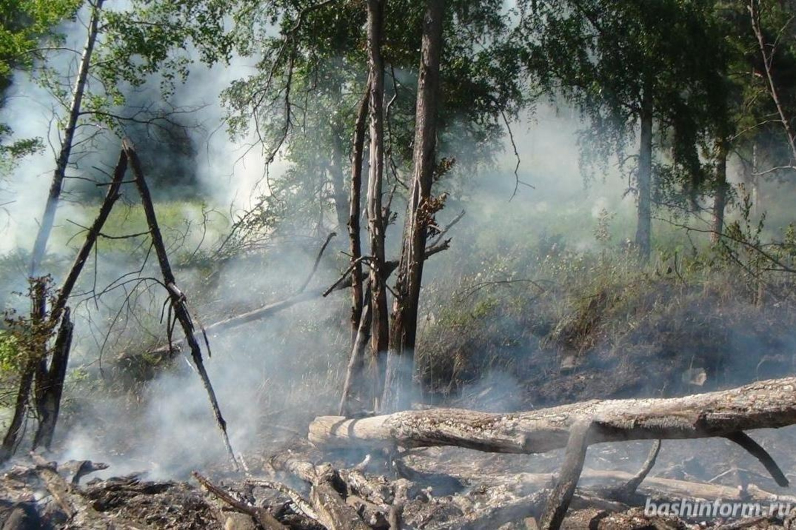 В Башкирии продолжают гореть леса на площади более 2000 га