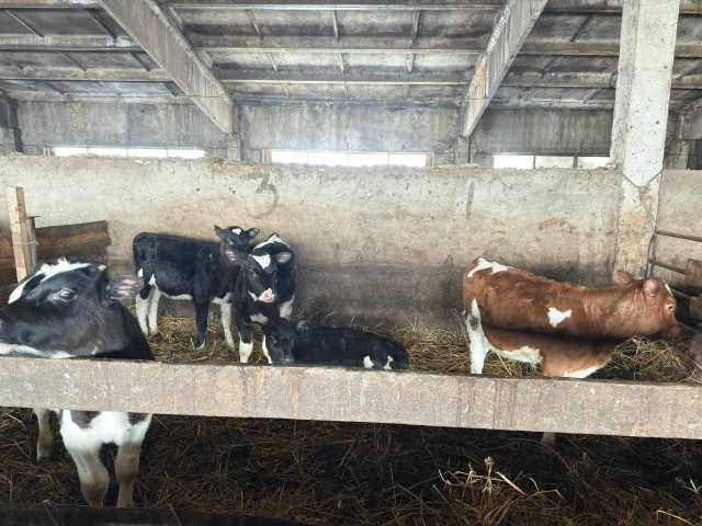 Район хакимиәте башлығының эш сәфәре