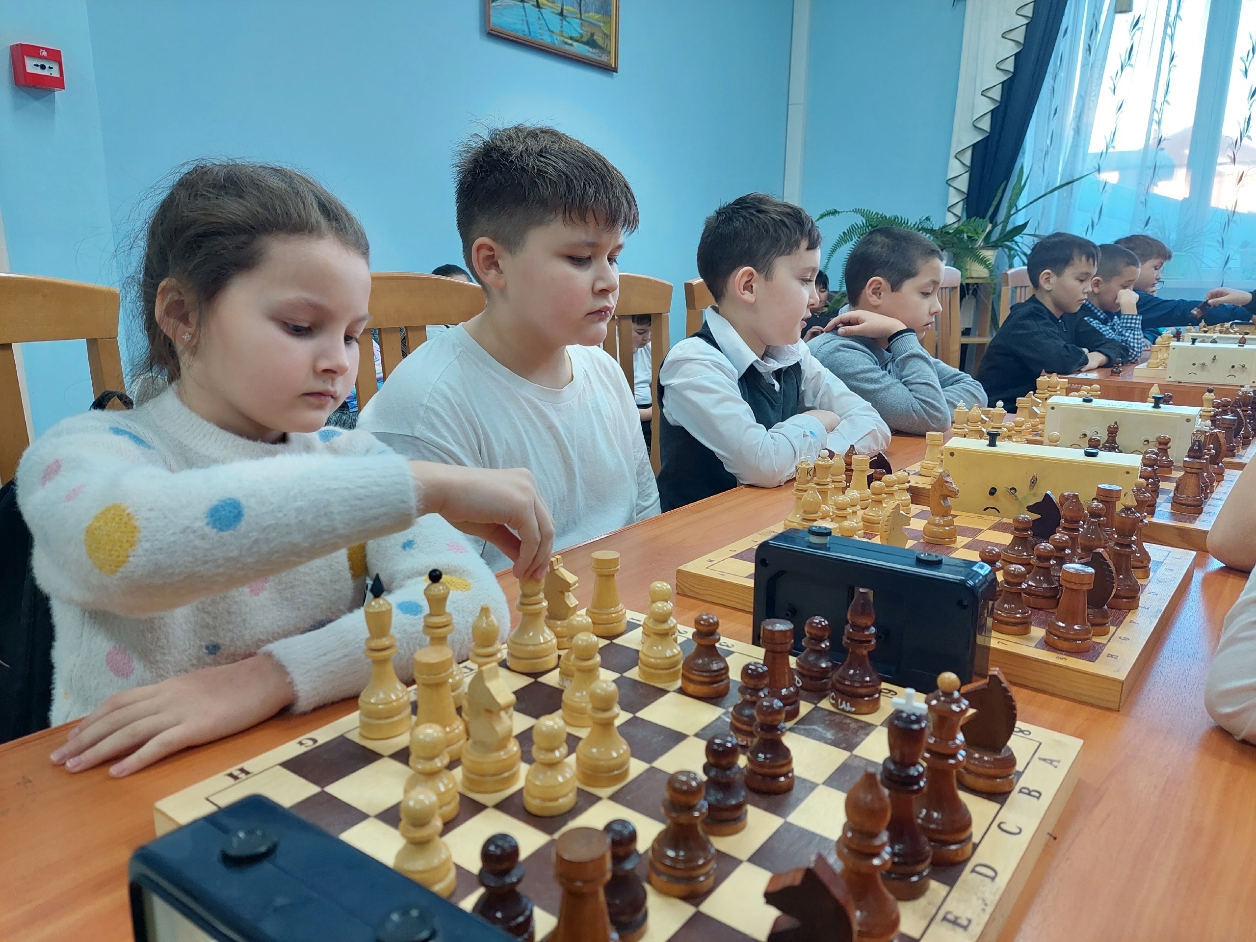 Шахматный турнир в честь Дня Конституции РФ