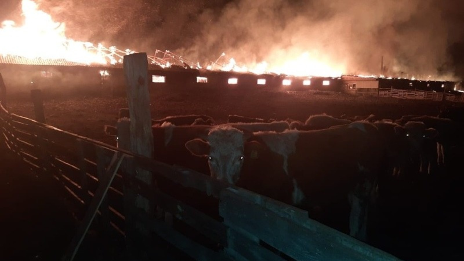 В Башкирии ночью сгорела ферма