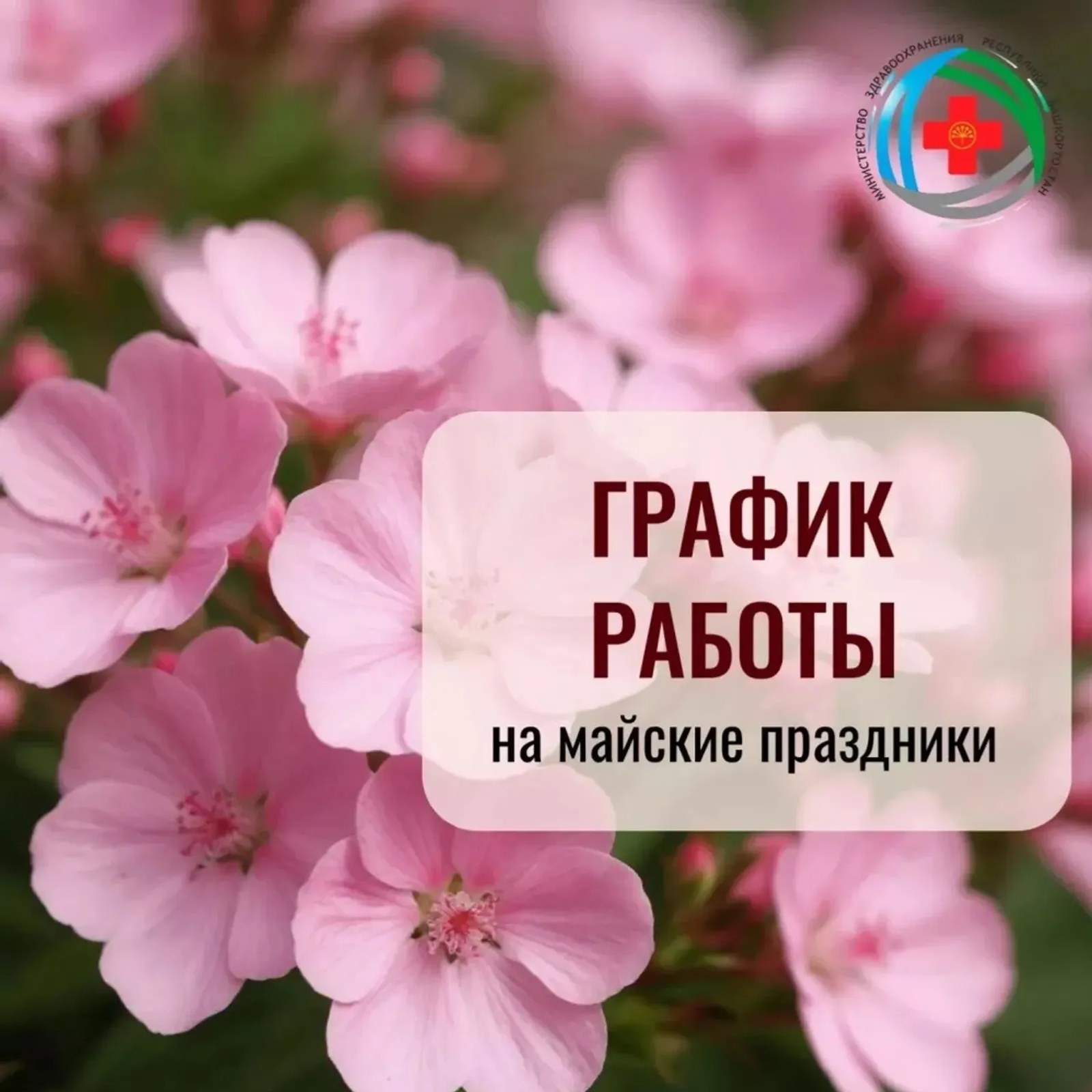 Май байрамдарында республика дауаханалары нисек эшләй?