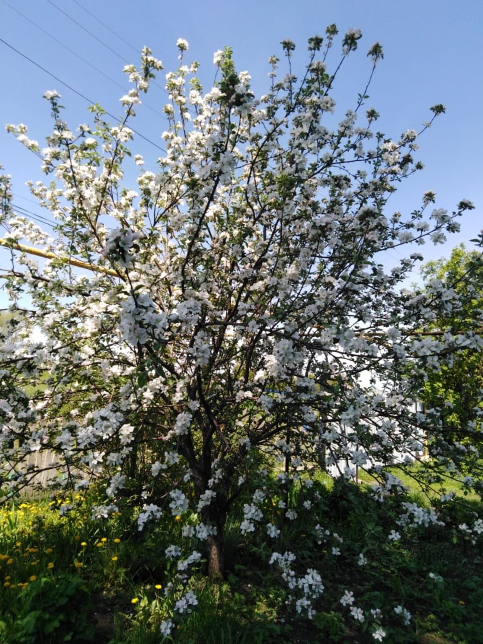 Башҡортостанда ҡасан ҡар ирер һәм йылы яҙ башланыр?