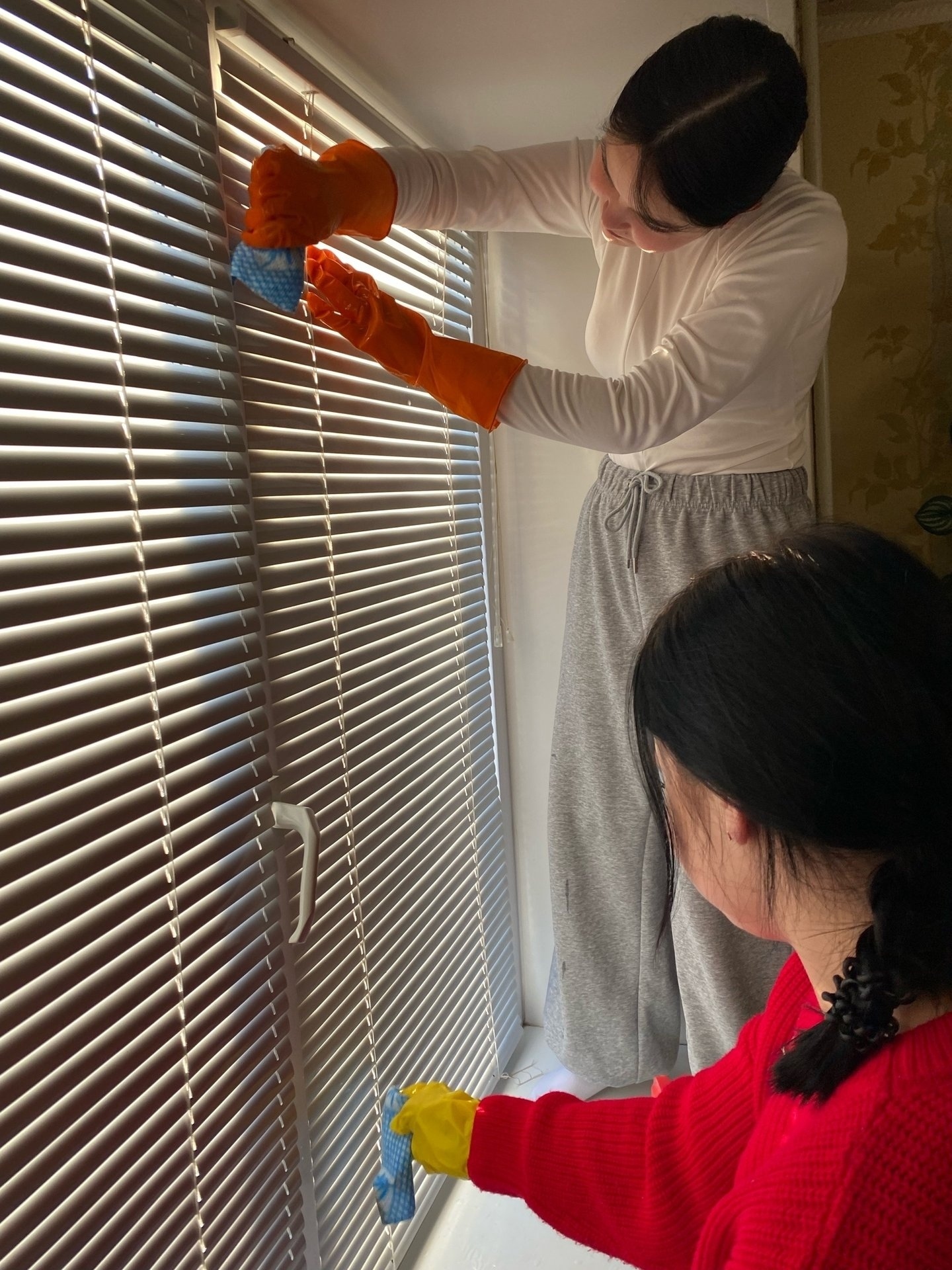 Ирекмәндәр ярҙам итте