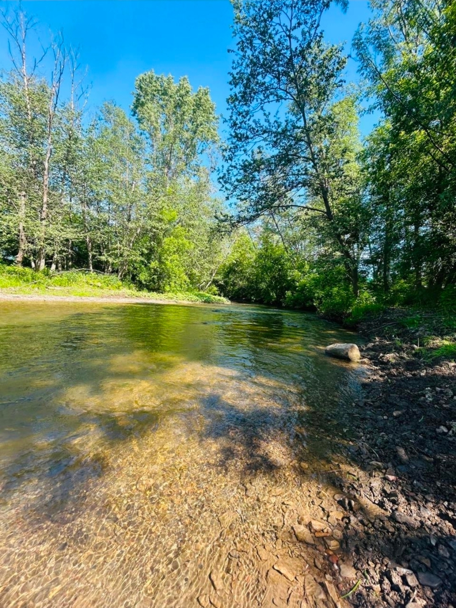 Апрелдә +25 градус йылы була