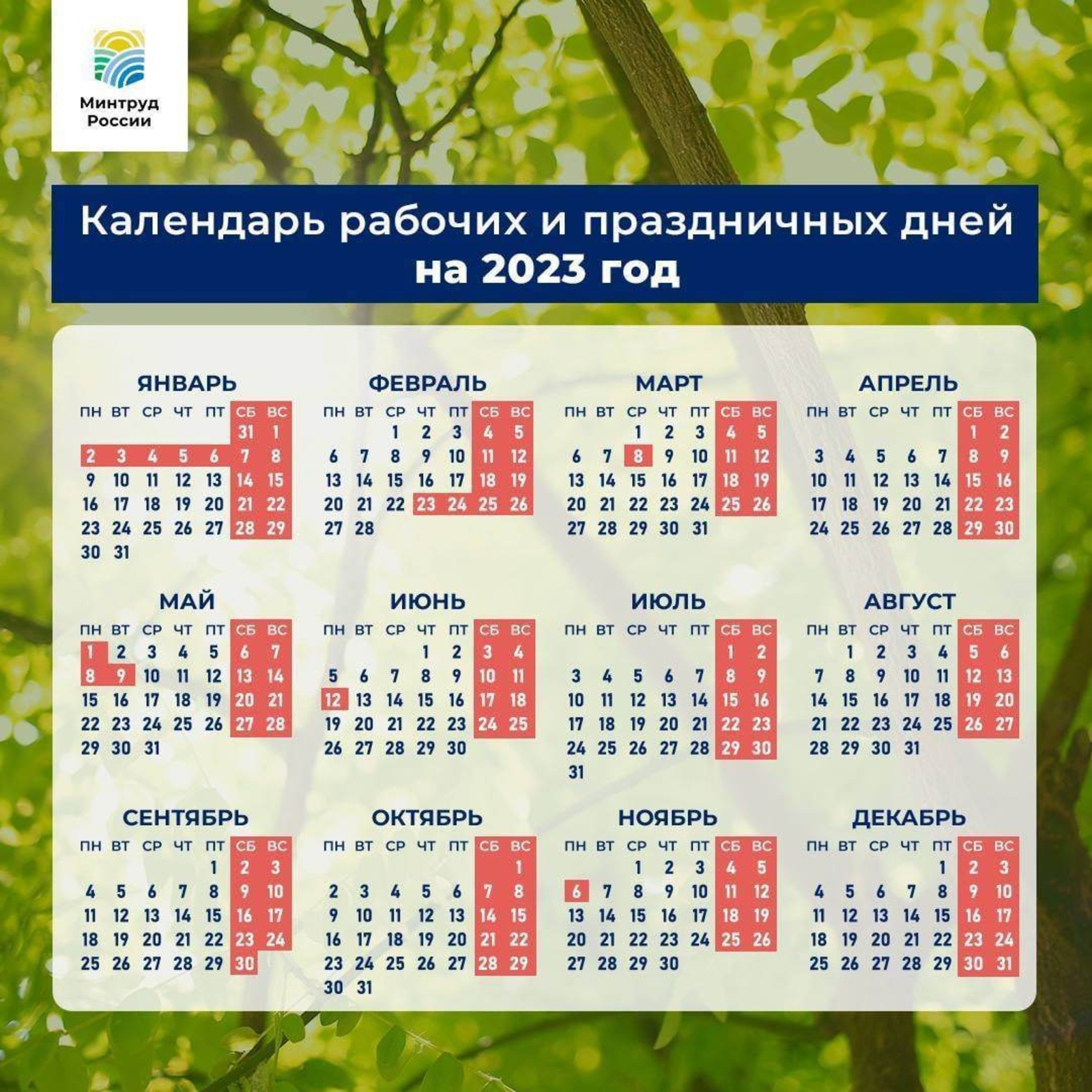 Министерство труда России сообщило, как россияне будут отдыхать в 2023 году