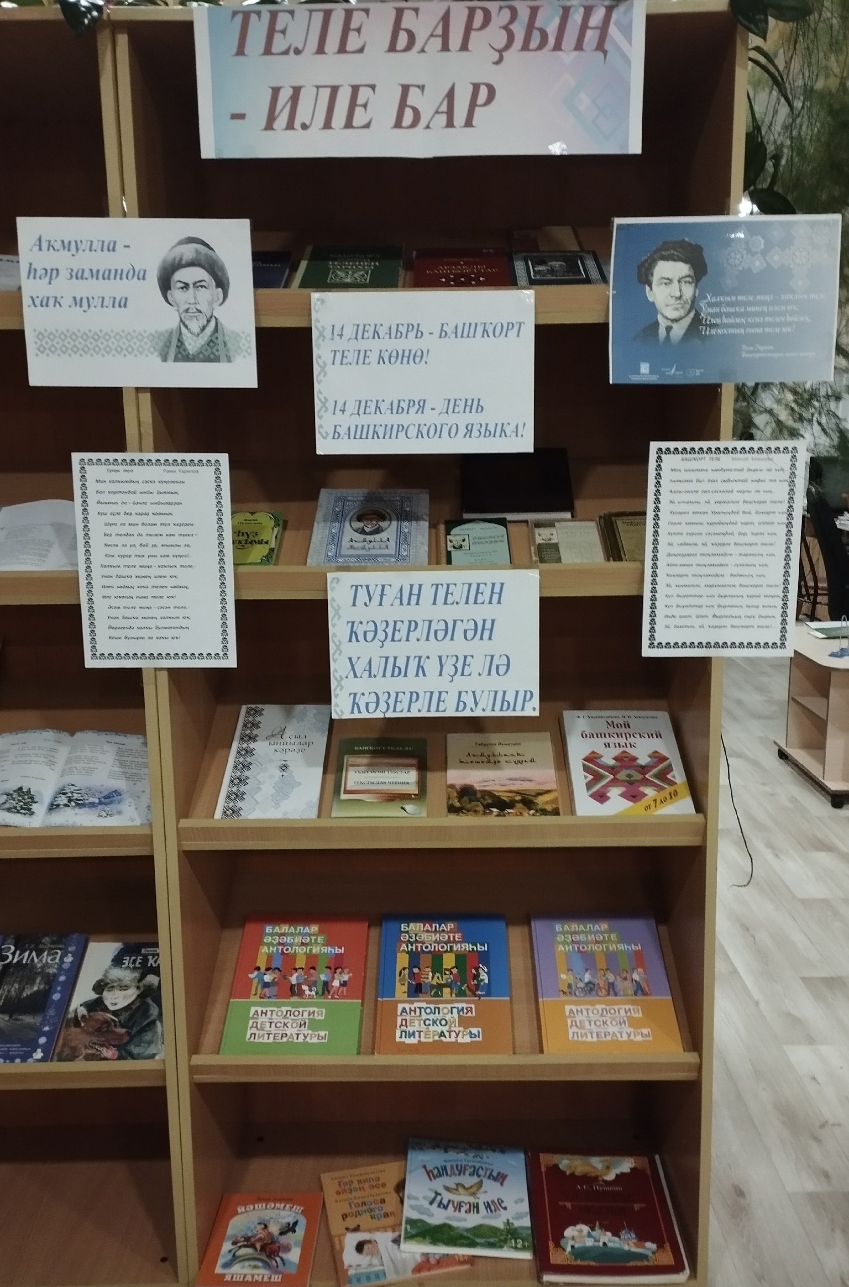 Илһөйәрлек, телһөйәрлек дәресе үтте