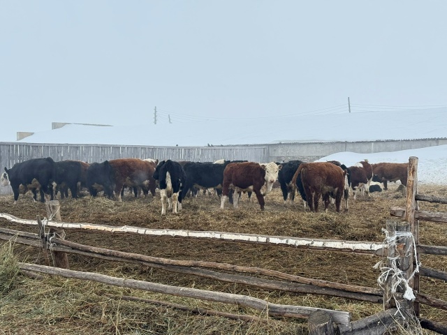 Район хакимиәте башлығының эш сәфәре