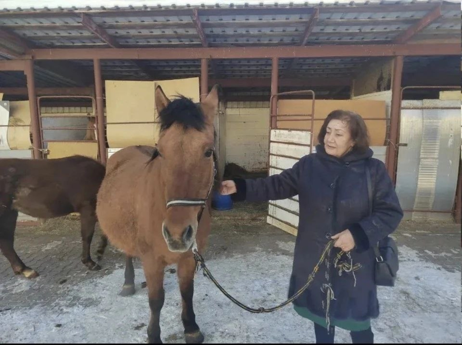 Башҡорт атын данлаған ғалимә