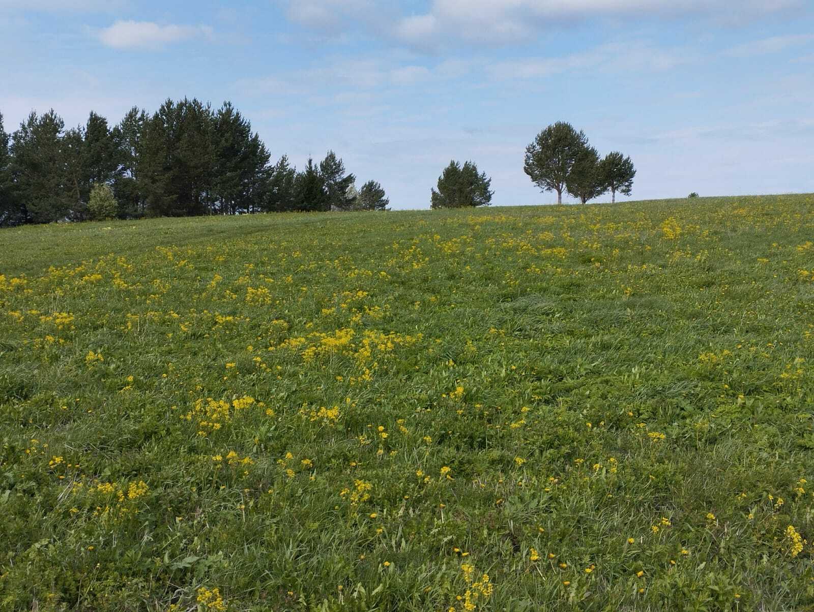 Йәйге йылы ҡасан ҡайтыр?