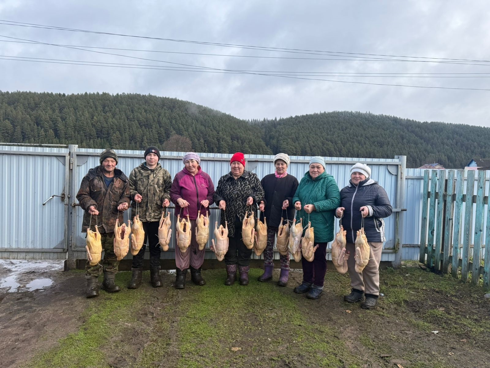 Солтанбәктә ҡаҙ өмәһе үтте